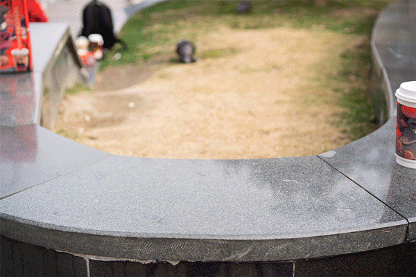 ��emo������ʳ���ҹ��ﶬ��