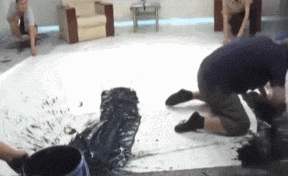 书法大师