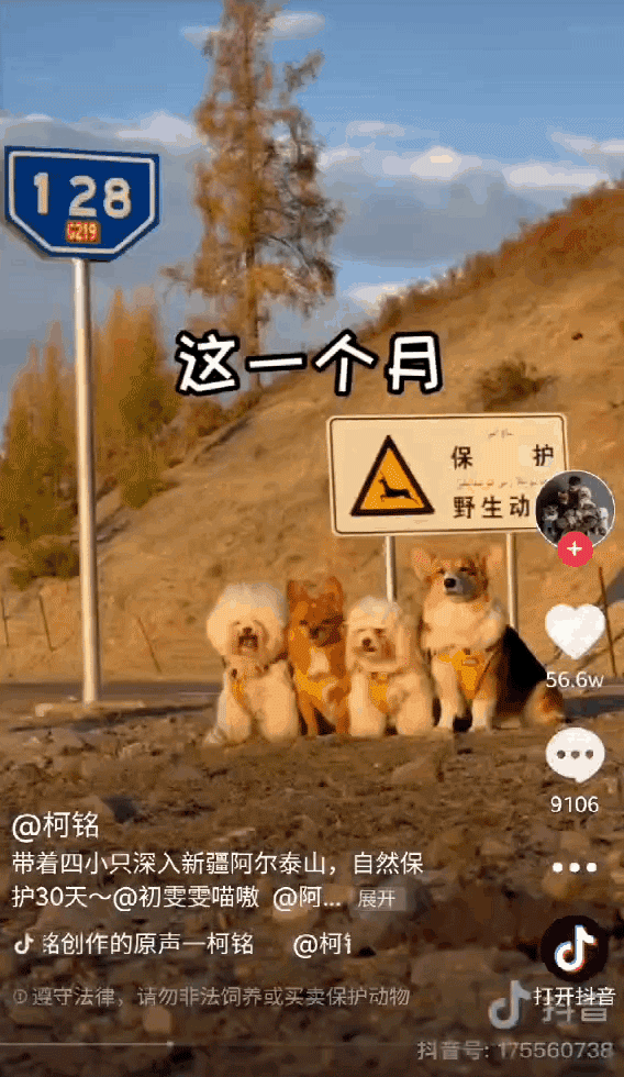 抖音视频怎么拼接音乐_抖音拼视频_抖音如何拼接视频