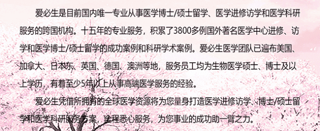 国家是什么_pr是什么国家_国家是ppp项目