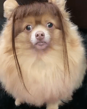 麻麻,我觉得这次剪的发型比上次好,你觉得呢?气质出众型02:我是谁?