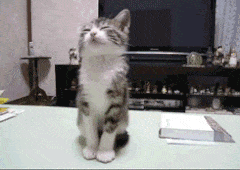 醒醒！上班了！这个方法专治你的节后综合症！