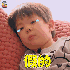 荒野行动直装科技,荒野行动挂PC透视