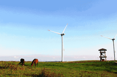 龙里场地出租_场地出租合同范本_会议场地出租