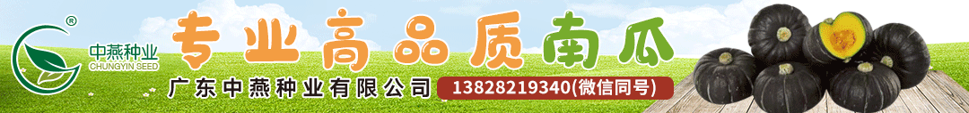 致富农业项目_农业致富经_致富农业节目