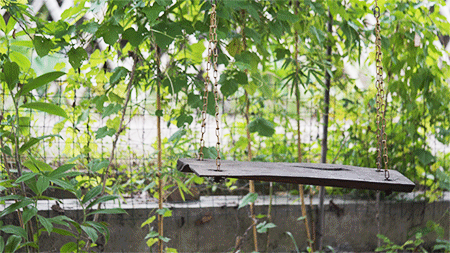 茶文｜七月，到了喝茶最好的时候