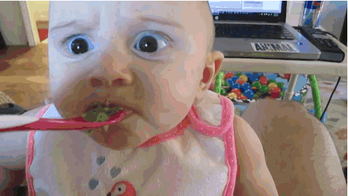 米粉嘉宝和小皮哪个好_米粉嘉宝的好还是英式的好_嘉宝米粉