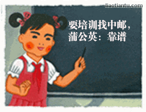 老板喜欢用庸人做中层领导,不是傻,而是太现实
