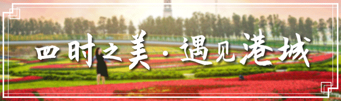 最新标准发布！插图1
