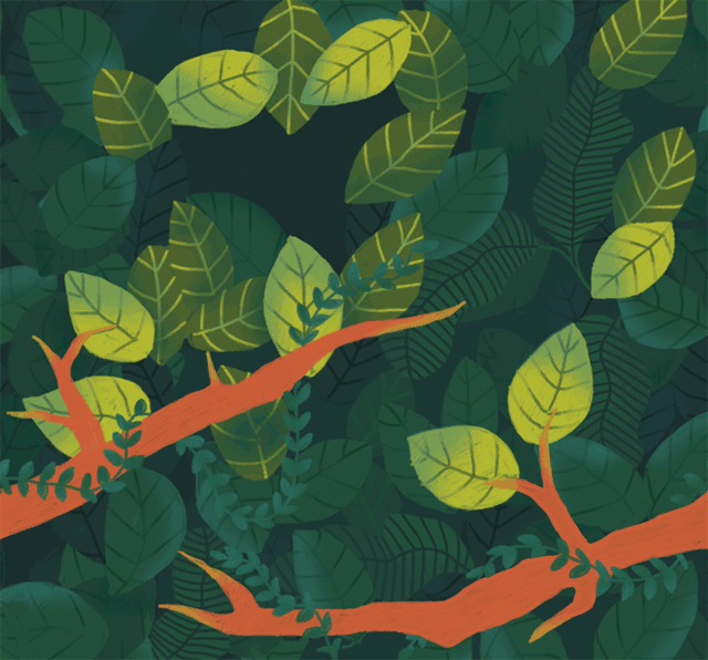 “放飞自我”的智齿，带来的只有痛苦……