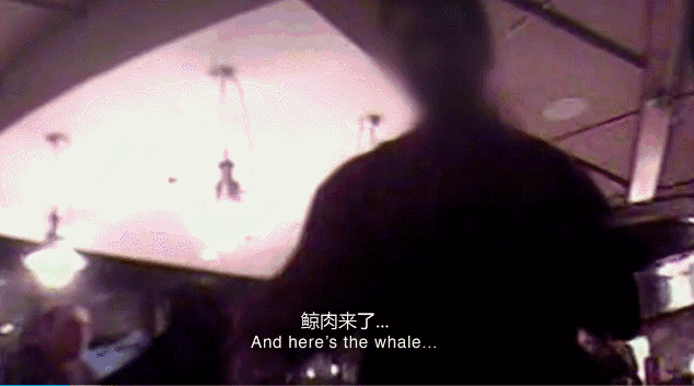 “一夜爆红后，它笑着自杀”