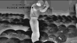 “一夜爆红后，它笑着自杀”