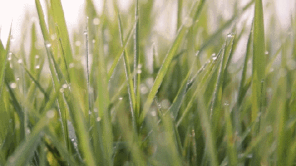 近期天有异象！雨水节气养生怎么做，才能平安迎春远离瘟疫？