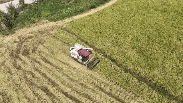 287万元！连江获中央资金支持！