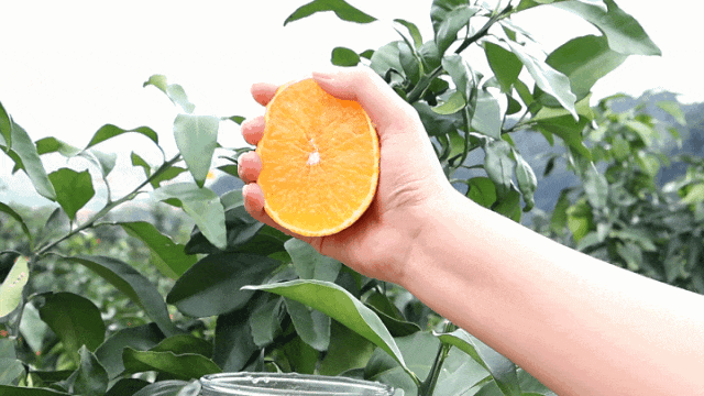 C“味”出道！连江这里甜蜜爆表！