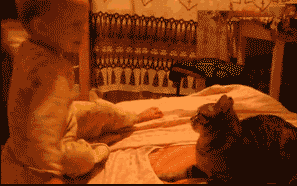 红酒不能想喝就喝，不然会像毒药一样致命！