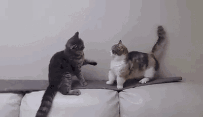 关于葡萄酒的5大谣言，千万别信！