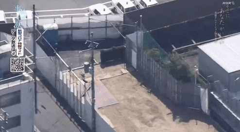 山田尚子为什么是神_山田尚子活下来了吗_山田尚子