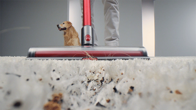 戴森又一款全新无绳outsize到底哪里大有不同