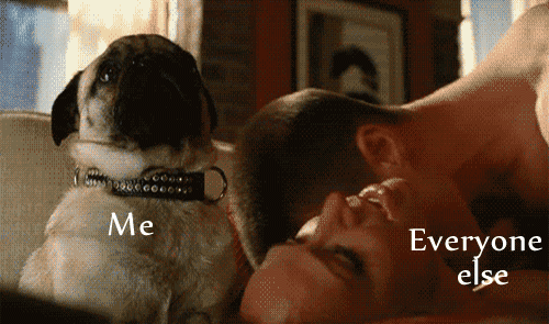 500_295gif 动态图 动图