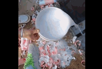 白花花的酸奶成桶倒!如此追星?-微信头条网 白花花的酸奶成桶倒!如此追星?