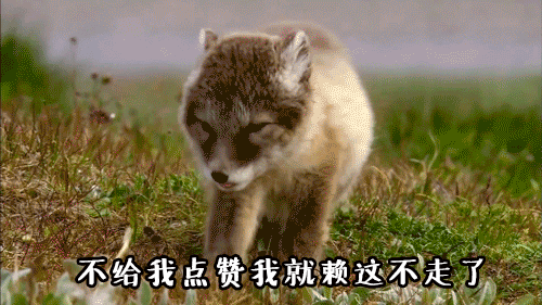 500_281gif 动态图 动图
