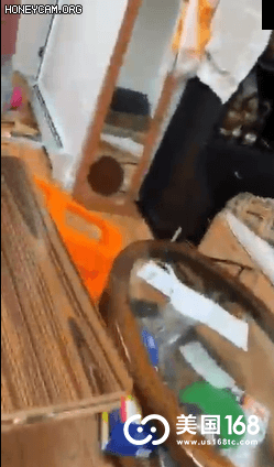 视频曝光！房东与孕妇租客两华女“干架”，一个痛哭，一个割腕鲜血满地…（视频/组图） - 2