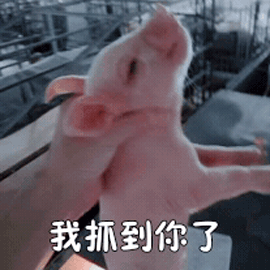 



◑ 好吃炸了！里脊加它们一炒，连碗底都舔净！
