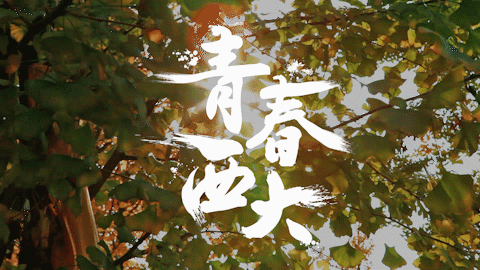 480_270gif 动态图 动图