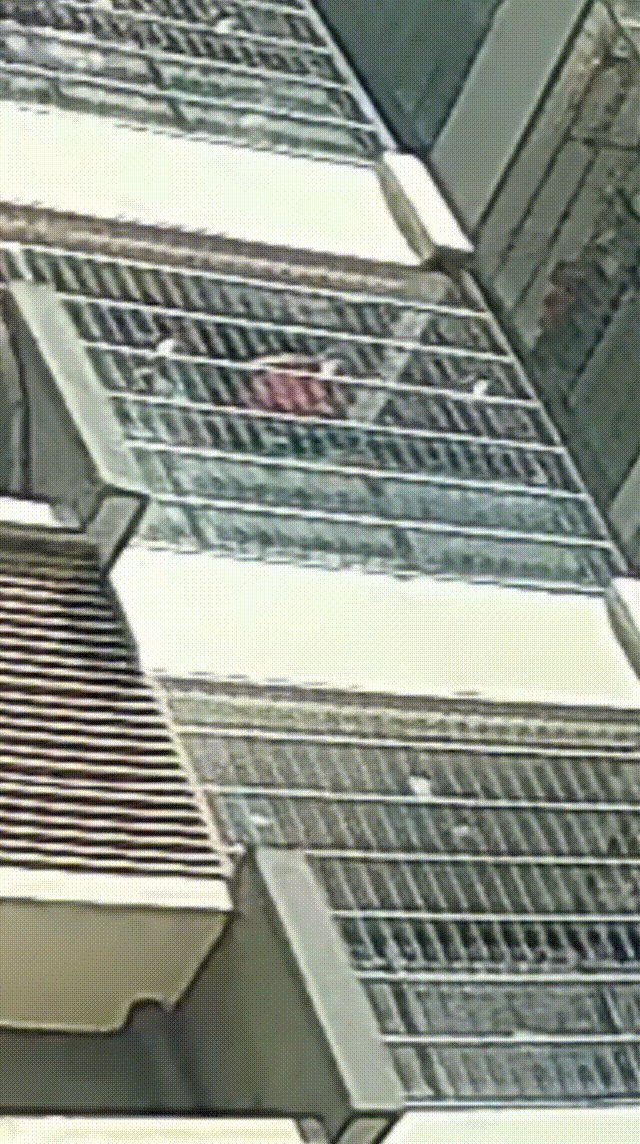 4月9日 00_00_00-00_00_30.gif