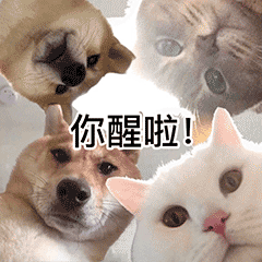聊天阴阳怪气表情包