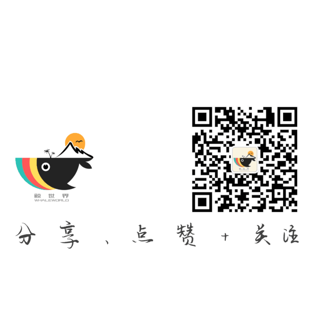 和平精英手游断殇绘制1.0上市辅助破解版(图6)