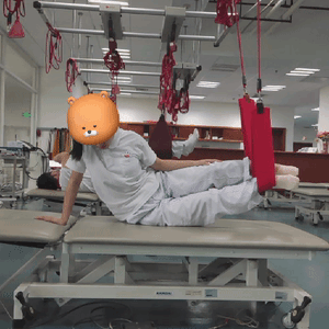 悬吊训练系统 怎么装悬吊训练疗法（SET）如何应用在脑损伤患者中，你知道吗？_https://www.jmylbn.com_新闻资讯_第22张