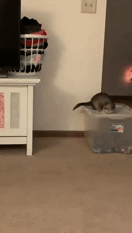 s型拉勾怎么拿开心一刻｜有一个问题困扰了我很多年：拉勾为什么要上吊？_https://www.jmylbn.com_新闻资讯_第10张