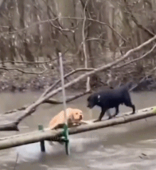 s型拉勾怎么拿开心一刻｜有一个问题困扰了我很多年：拉勾为什么要上吊？_https://www.jmylbn.com_新闻资讯_第12张