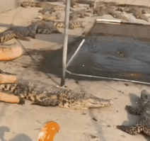 s型拉勾怎么拿开心一刻｜有一个问题困扰了我很多年：拉勾为什么要上吊？_https://www.jmylbn.com_新闻资讯_第11张