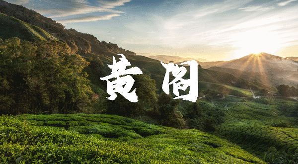 广州【南沙十里方圆】怎么样？值不值得买，有什么优缺点？