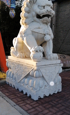 网页翻译功能在哪_聪明最懂用笨功议论文答案_你懂懂懂我懂懂懂歌词