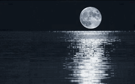 每逢佳节倍思亲,返乡置业我买单 - 自贡星河房地产开发有限公司