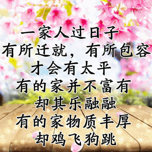 我的家庭相册