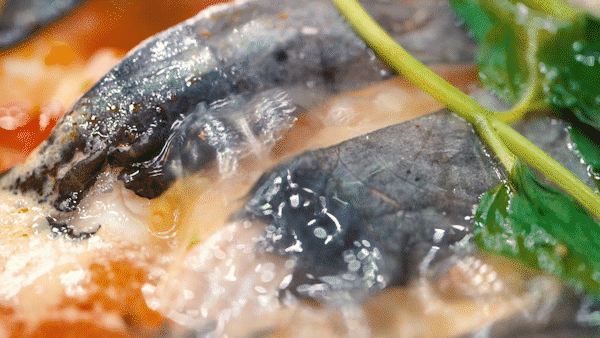 20��û���ˣ���껹��