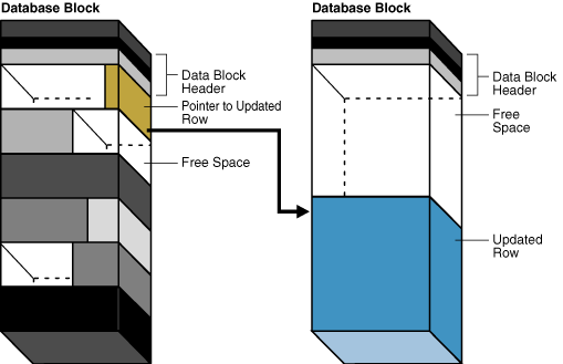 Description of Figure 13-14 follows