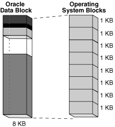 Description of Figure 13-6 follows
