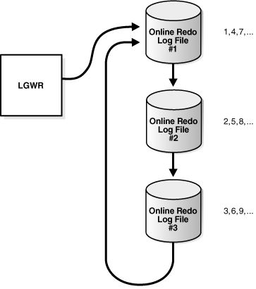 Description of Figure 12-6 follows