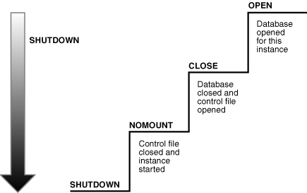Description of Figure 14-4 follows