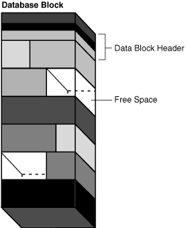 Description of Figure 13-11 follows