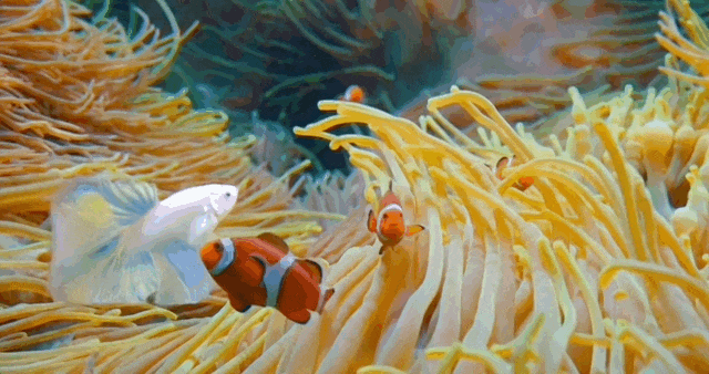 鹅厂开源视频生成大杀器！参考图主体精准复刻，还能编辑现有视频 | 量子位