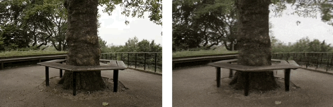 一张图生成高质量广视野3D场景，还可控制摄像轨迹