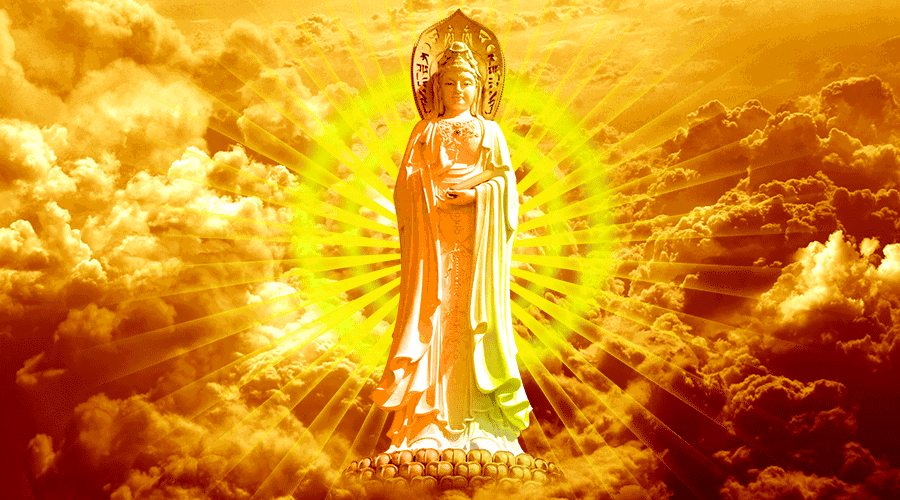 900_500gif 动态图 动图