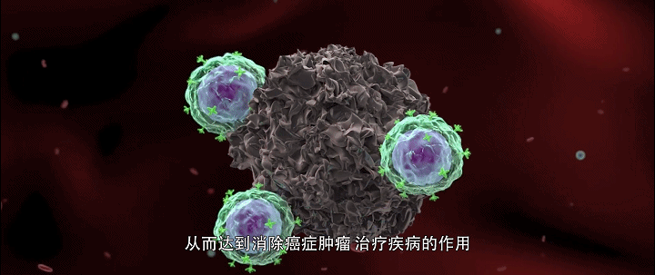 CAR-T疗法治疗实体瘤火力全开！胰腺癌、肝癌、胃癌等14大癌种传捷报！